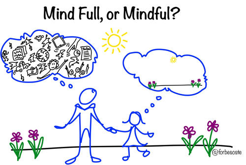 Mind Full or mindfull