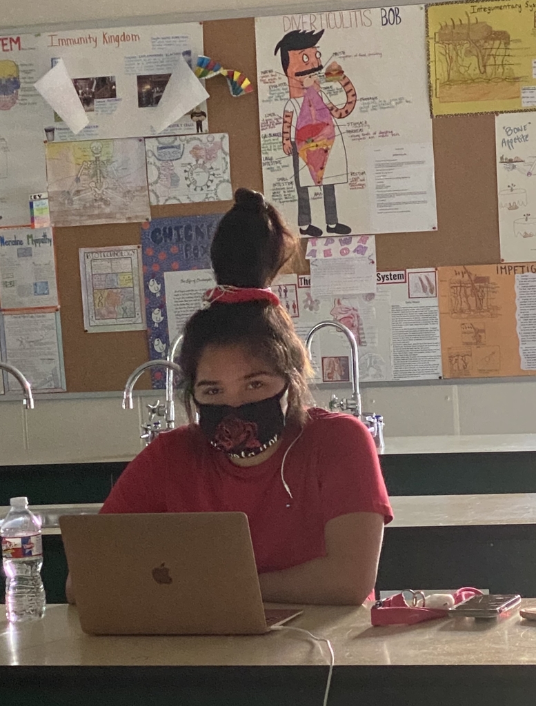 Student